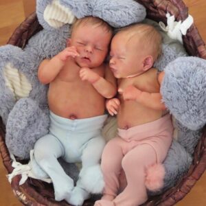 reborn dolls twins