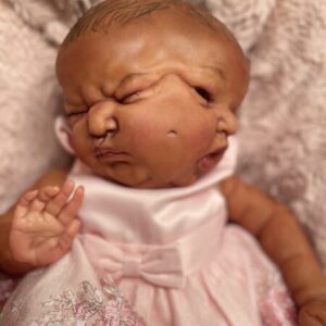 Twin Reborn Dolls