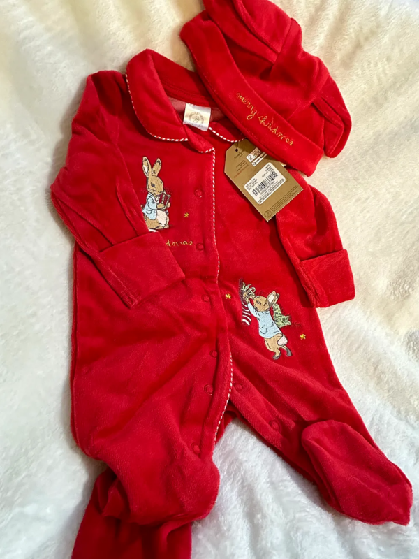 Christmas Peter rabbit - Image 3