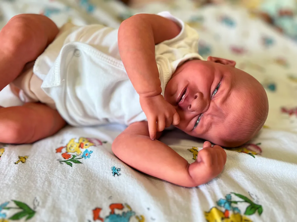 Joy - newborndolls - Image 4